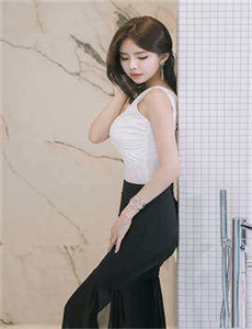 迷失的莱昂纳多