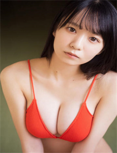 新僵尸先生国语